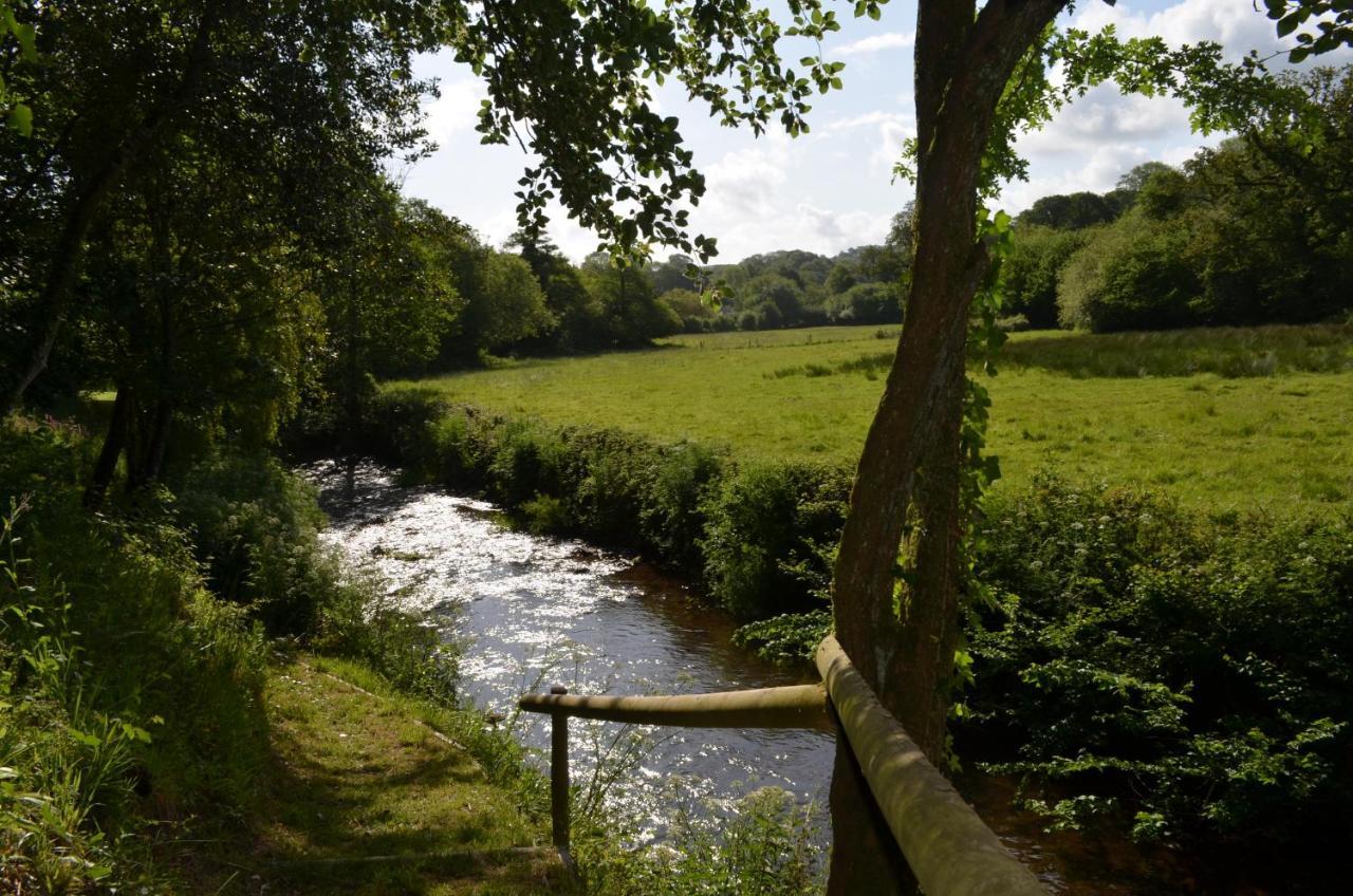 Bed and Breakfast Bow Mill Farm Totnes Exterior foto